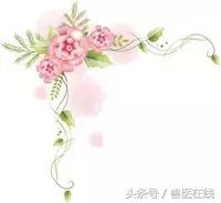 母猪场仔猪存活率多少正常,母猪下仔猪成活率低