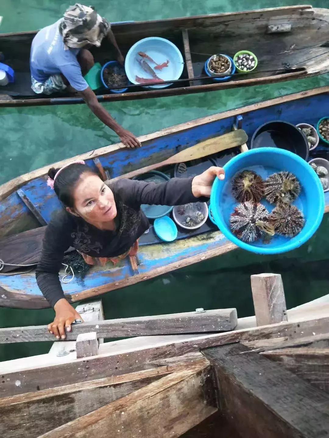 仙本那和印度尼西亚潜水哪个更好,仙本那彩湖潜水度假村多少钱一天