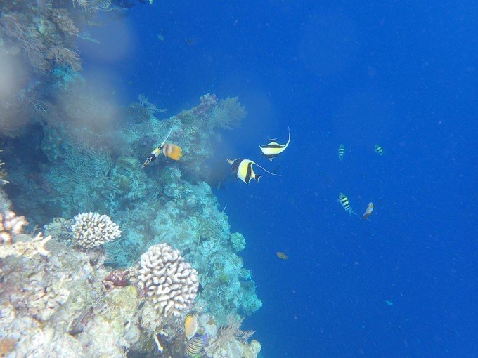 宝贝喜欢小金鱼,宝贝喜欢玩水