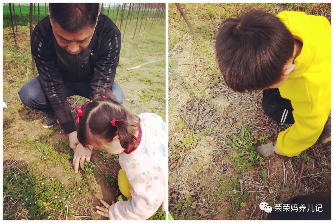 春暖花开别人出去春游,春暖花开溜娃的好地方