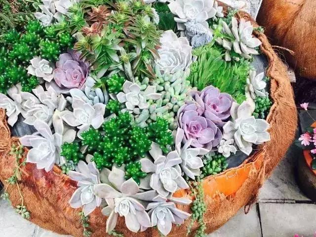 春来花自青秋至叶飘零原文解释,春来花自青秋至叶飘零出自哪里