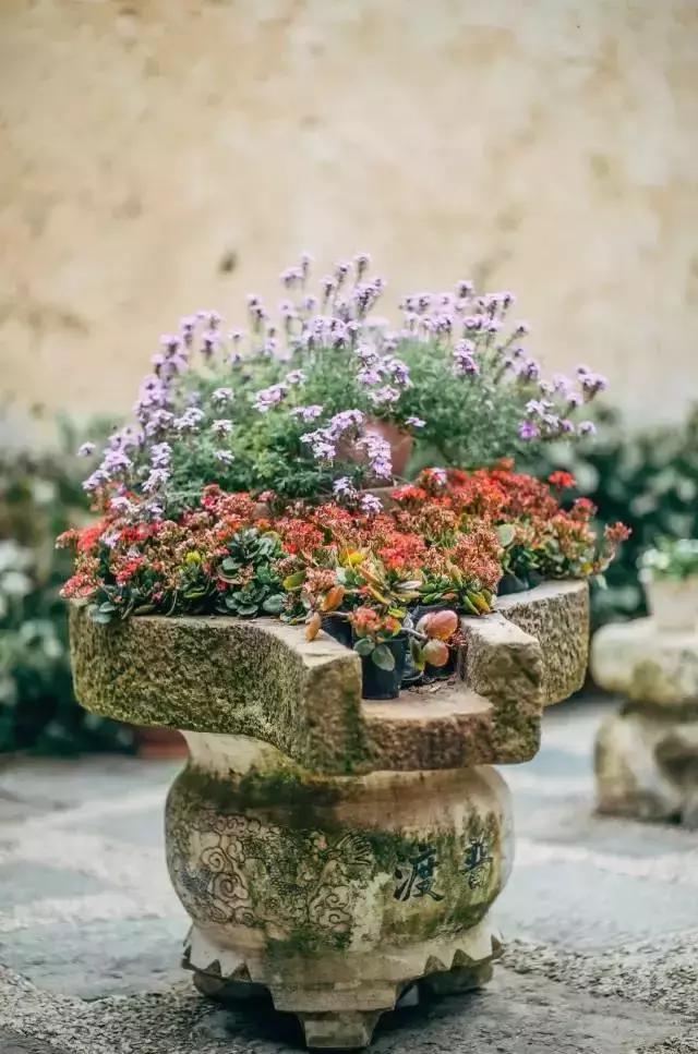 春来花自青秋至叶飘零原文解释,春来花自青秋至叶飘零出自哪里