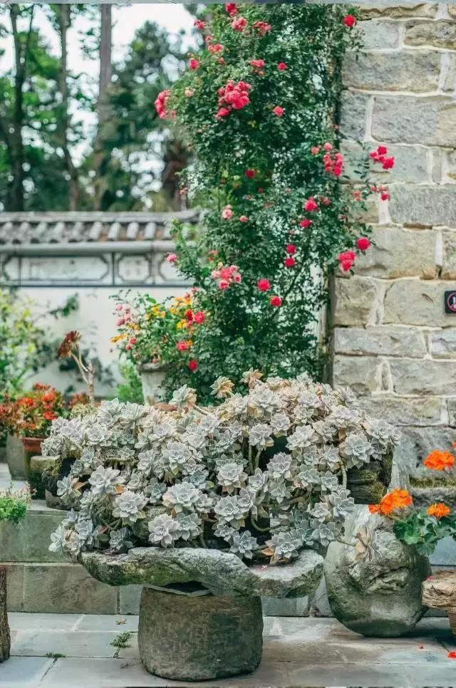 春来花自青秋至叶飘零原文解释,春来花自青秋至叶飘零出自哪里