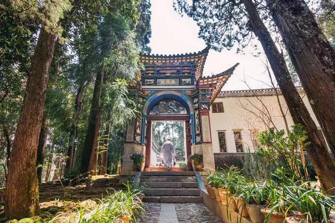 春来花自青秋至叶飘零原文解释,春来花自青秋至叶飘零出自哪里