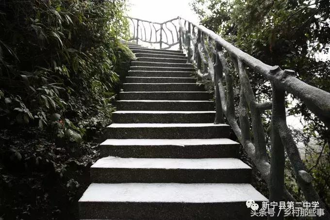 崀山鲸鱼闹海视频,不见鲸鱼的全部小说