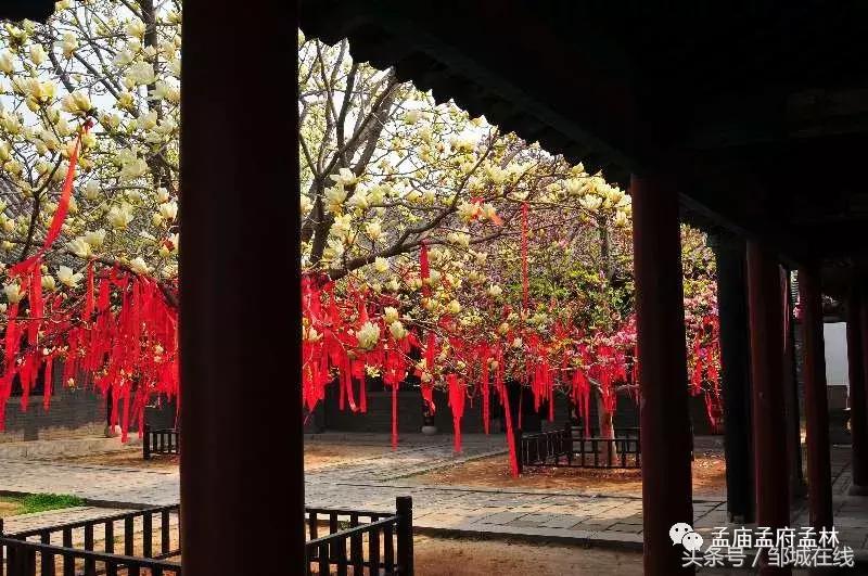 唯美中式风景,唯美花开美景图片