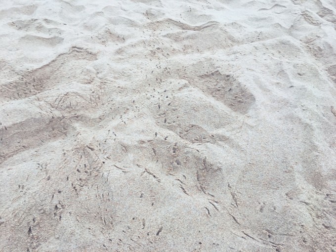 一路“王”下去----在三亚浪，把开会玩成度假！3