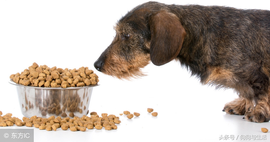 鍥戒骇鐙楃伯璇勬祴姣斾箰,鍥戒骇鐙楃伯璇勬祴