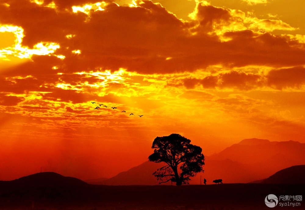 琼瑶的惊艳的美丽,琼瑶十大绝色佳人