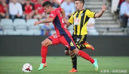 k球澳超直播阿德莱德悉尼,澳超阿德莱德今日推荐