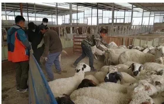 我在江苏都买得起房，却在西安“全款买房”中无处安家！