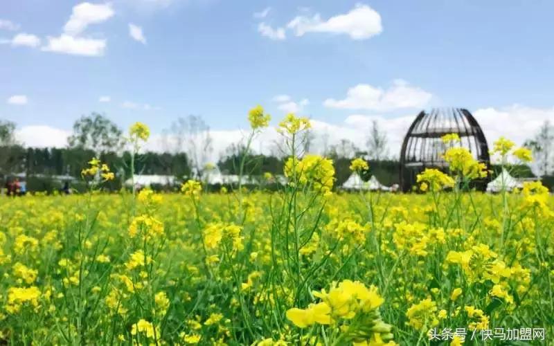 创业成功的19个金点子,26个立竿见影的低成本创业金点子