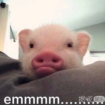 洪真英粉底视频,陈数用的粉底