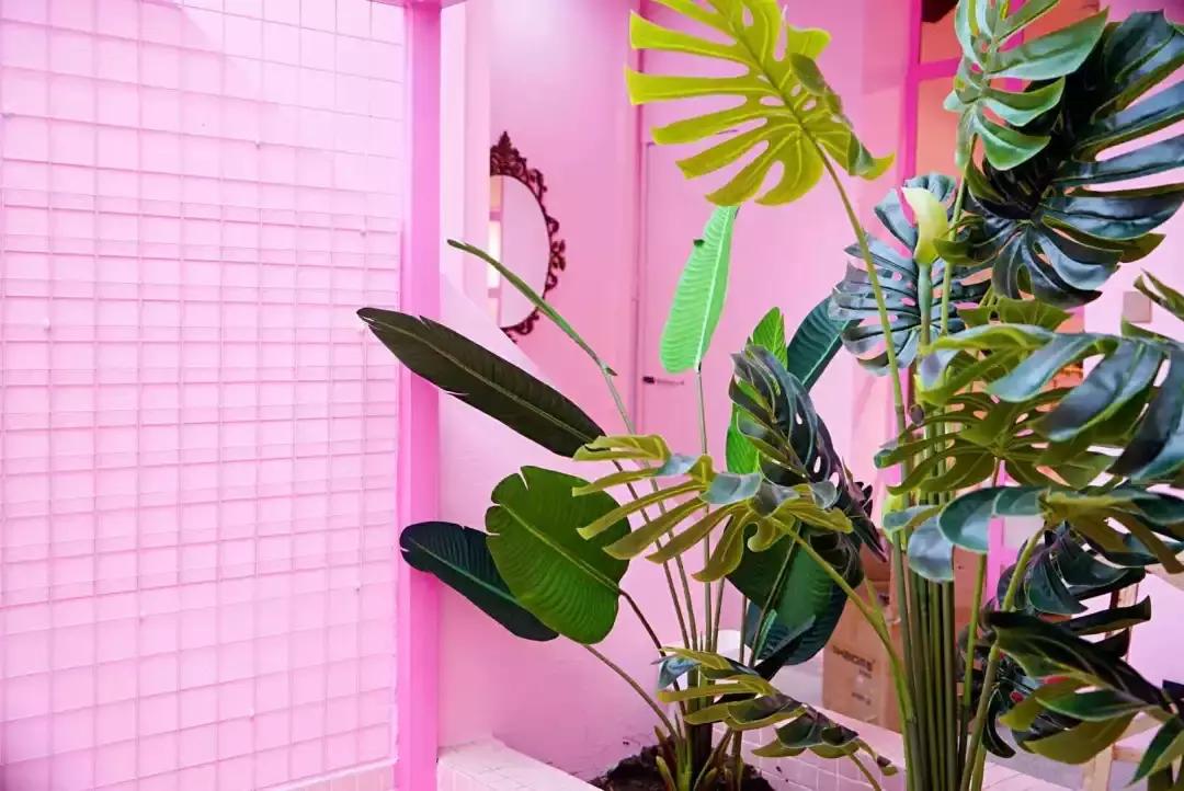 听说大理古城开了一家ins风粉红茶店,颜值逆天！