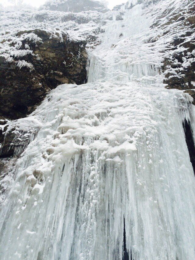 从稻城亚丁回重庆开车推荐路线,重庆到稻城亚丁开什么车最好