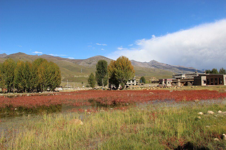 从稻城亚丁回重庆开车推荐路线,重庆到稻城亚丁开什么车最好