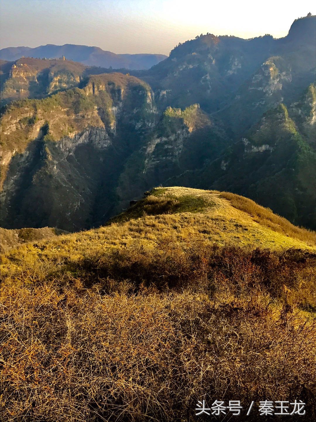 蒋志鑫作品价格是多少钱1平尺,蒋志鑫作品市场价
