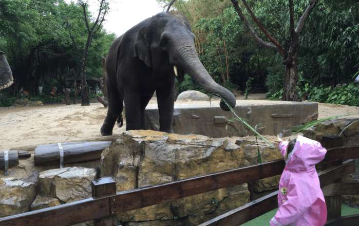 比广州长隆公园还大的公园,比长隆更好玩的有哪些地方