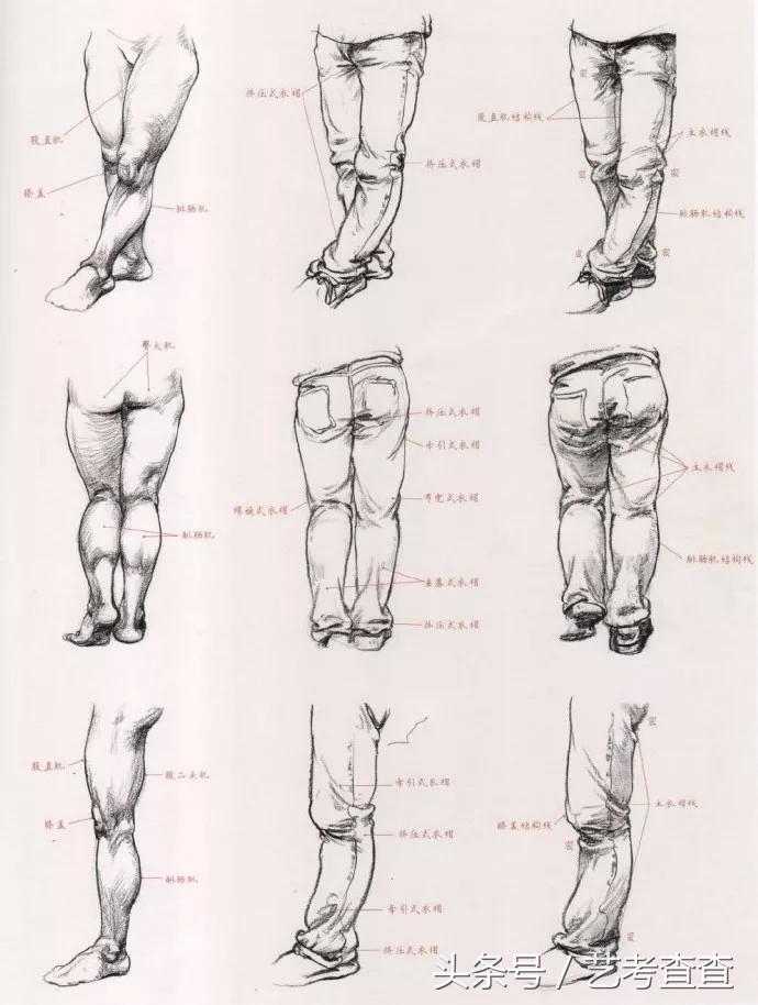 入门速写1000例临摹图全图,入门速写1000例临摹图物品