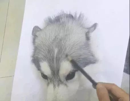 绘画中的一切都是假的,创意绘画是不是骗人的