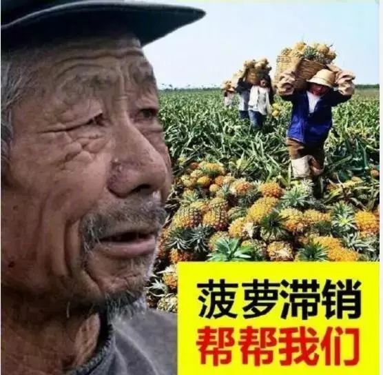 绘画中的一切都是假的,创意绘画是不是骗人的
