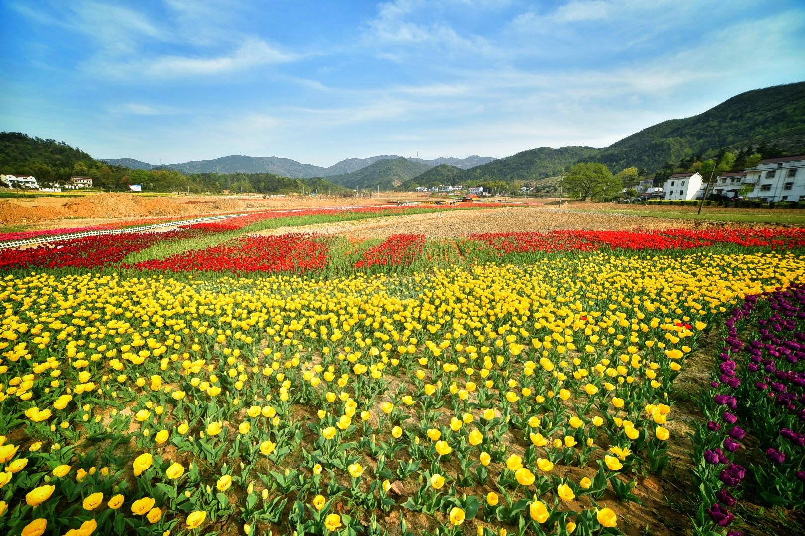 山灵水韵，德才兼备，这座城市的*光春**了不起！