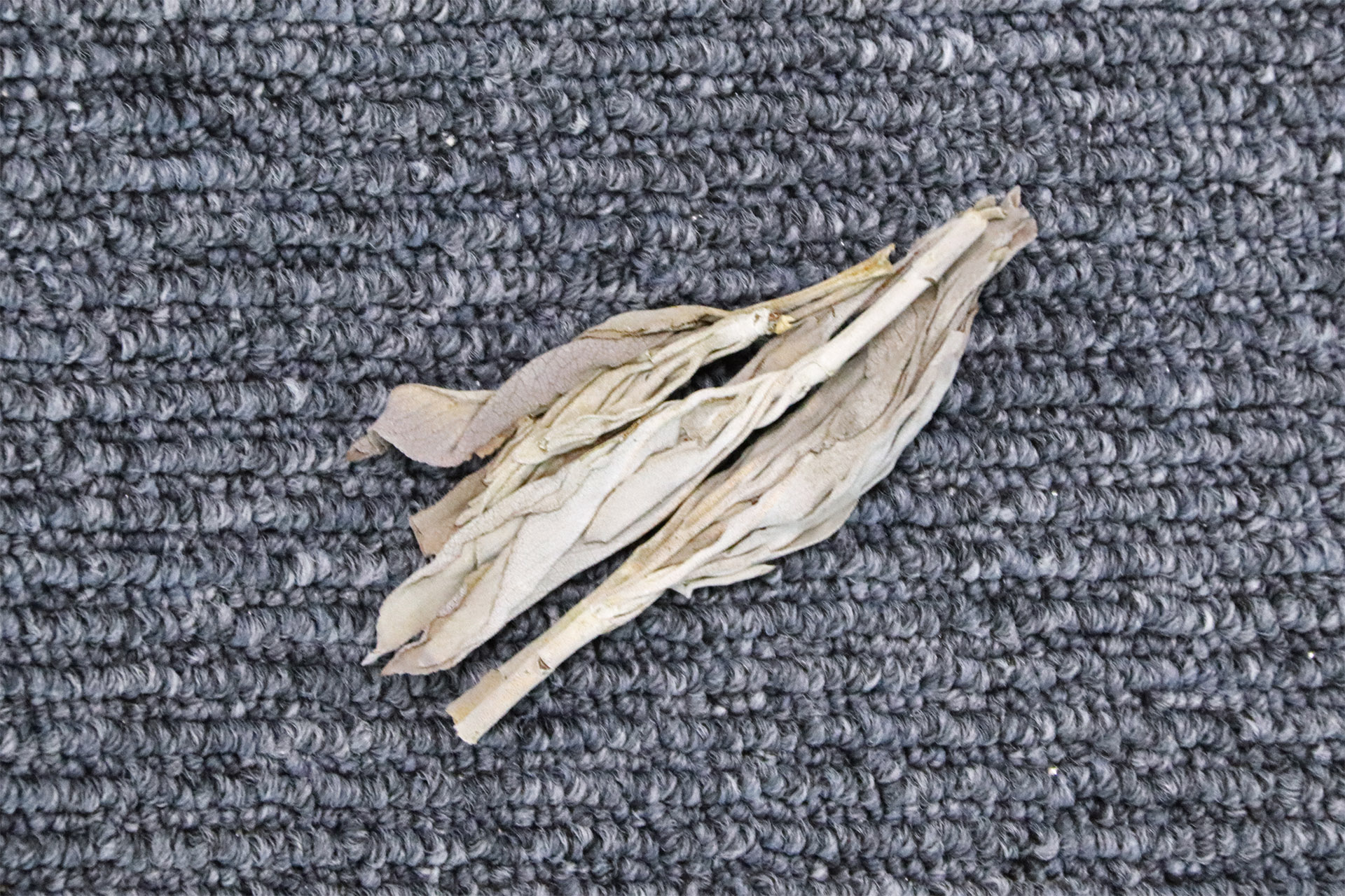 除甲醛空气净化机空净测评,甲醛空气净评测