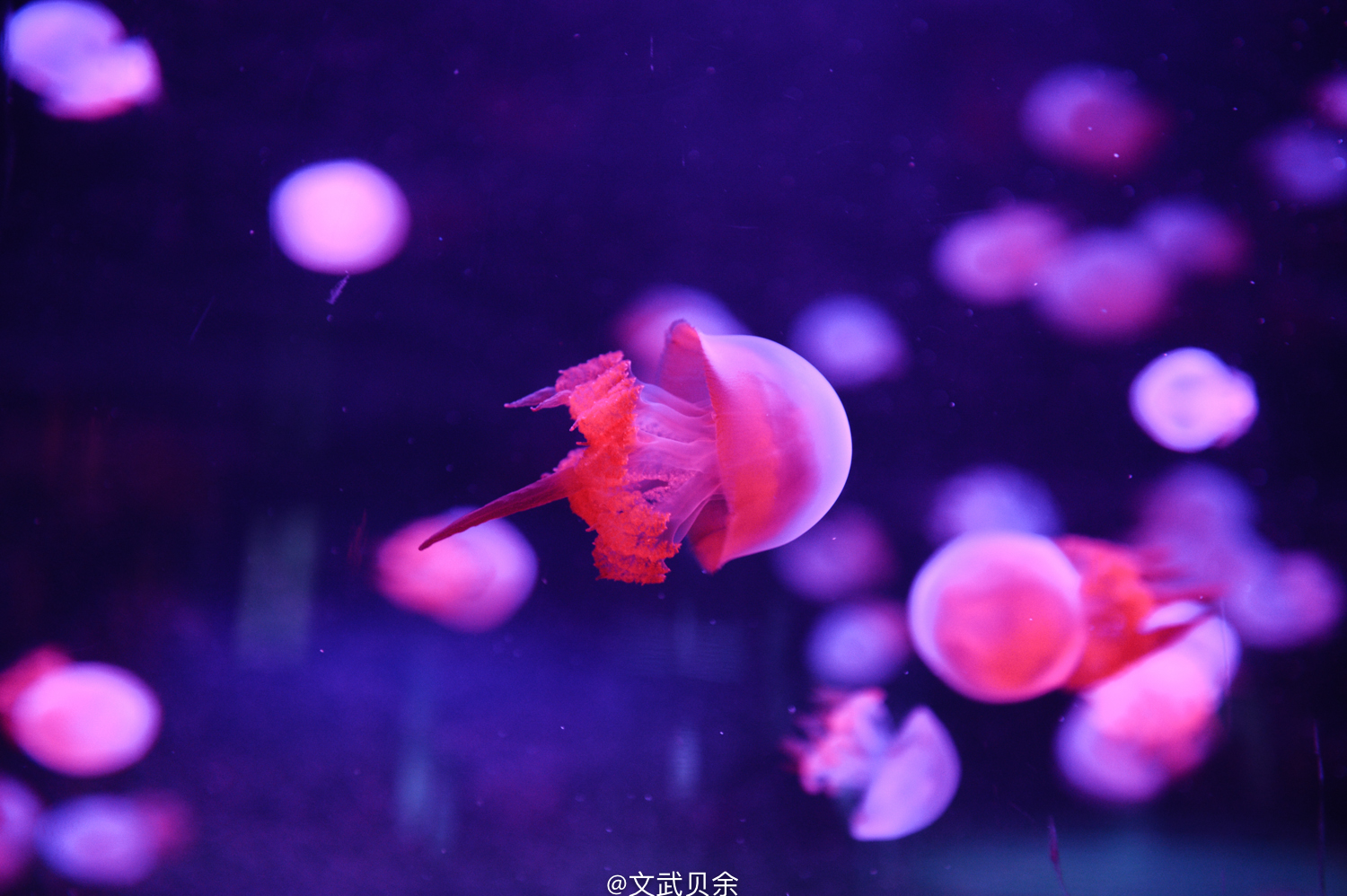 六安九十里山水画廊攻略,六安九十里山水画廊是啥