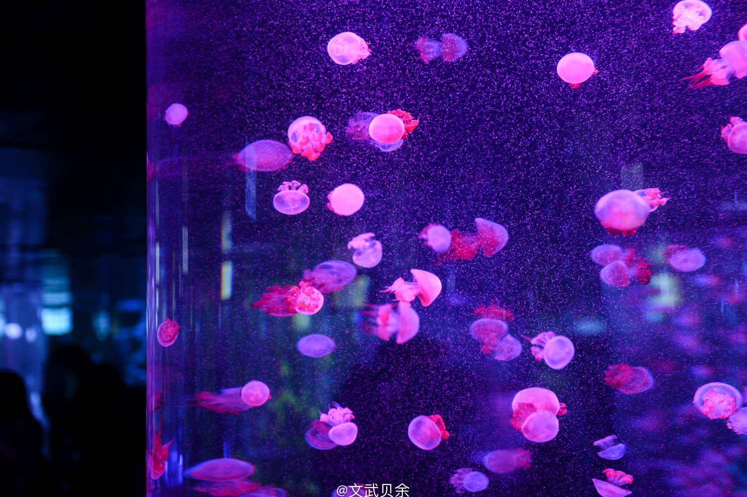 六安九十里山水画廊攻略,六安九十里山水画廊是啥