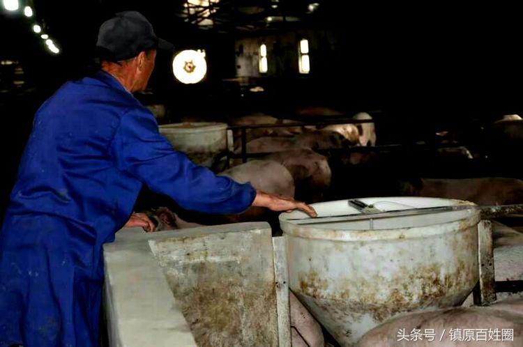 希望的田野唱谱,希望的田野歌曲唢呐