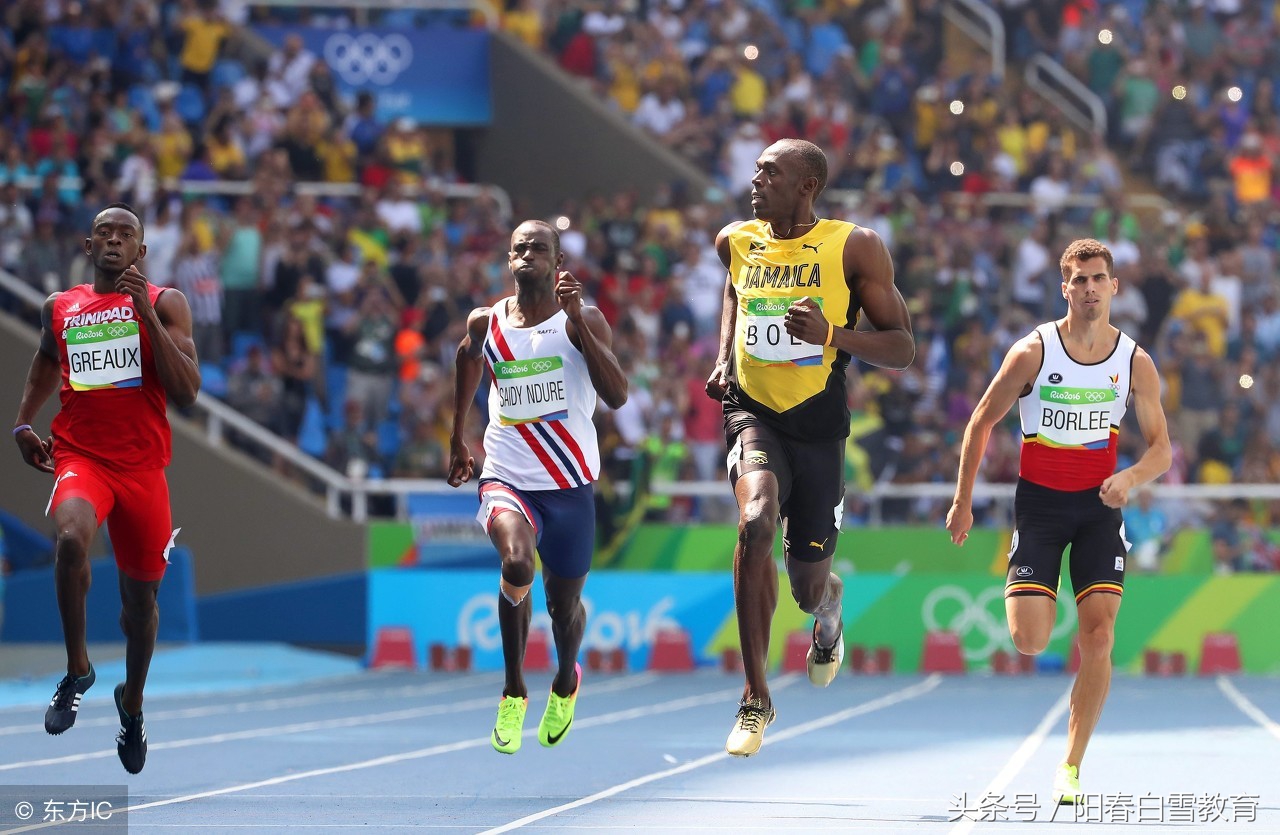 英语中，关于“比赛、节假日、旅行、声音、鱼”这几个词的辨析