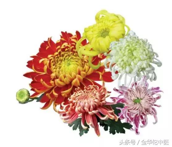 马应龙痔疮膏本来是治什么的,马应龙痔疮膏的作用与功效多少钱