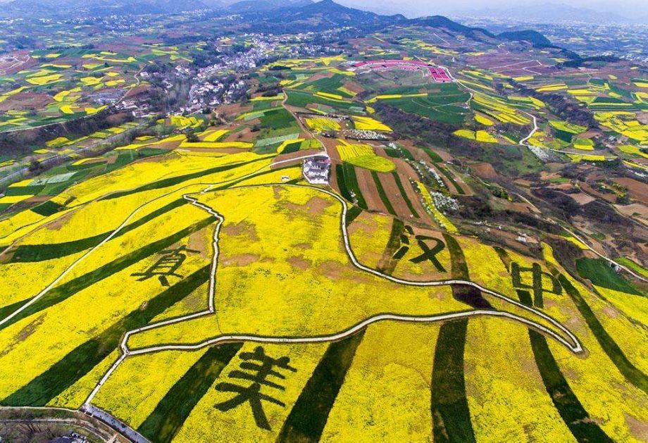 西安清明自驾,西安清明自驾免费景点