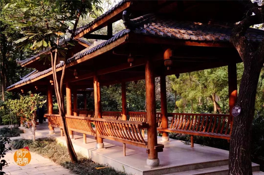 金花茶公园景点,走进金花茶公园