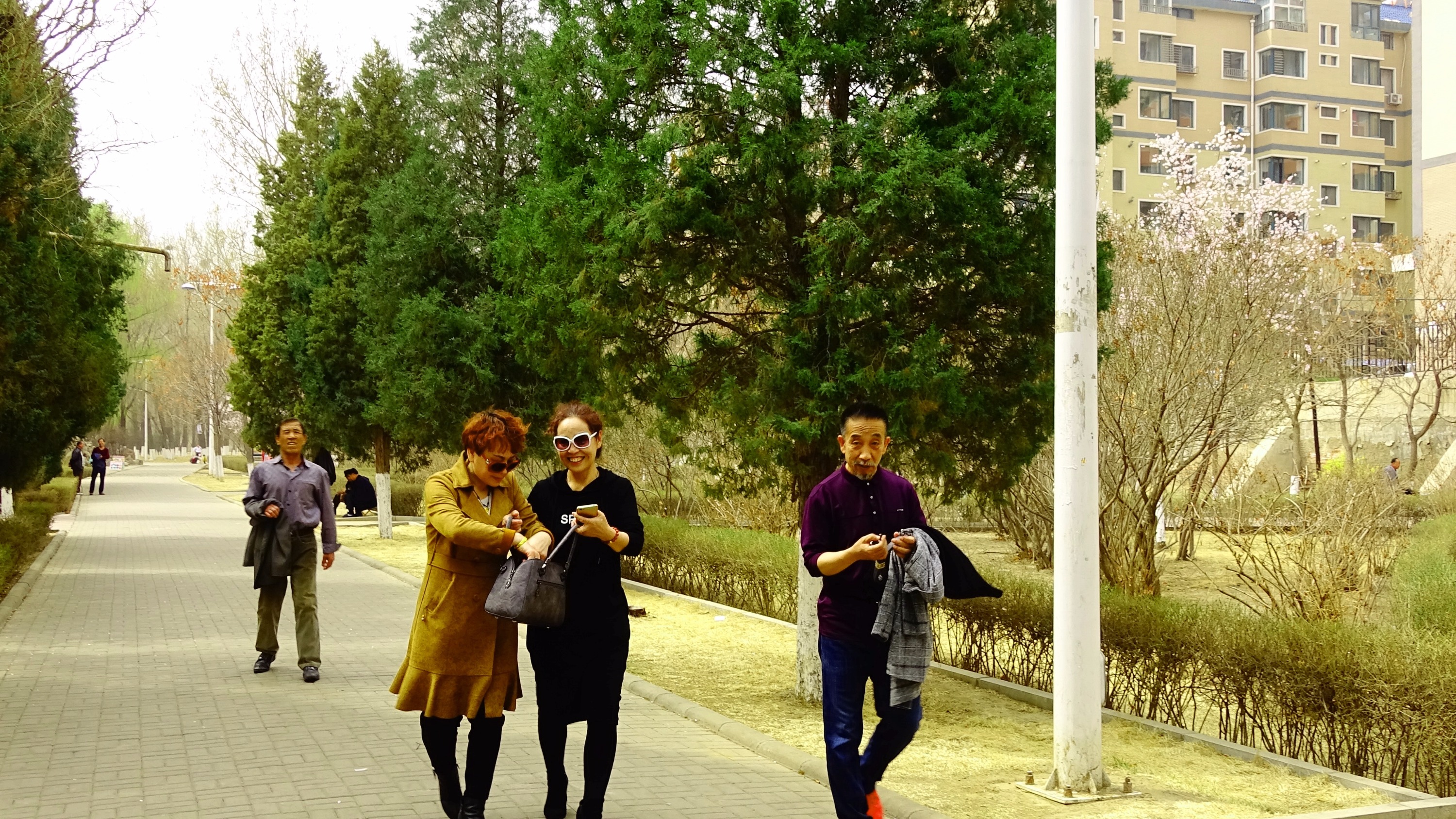 凌源春天,朝阳凌源公园