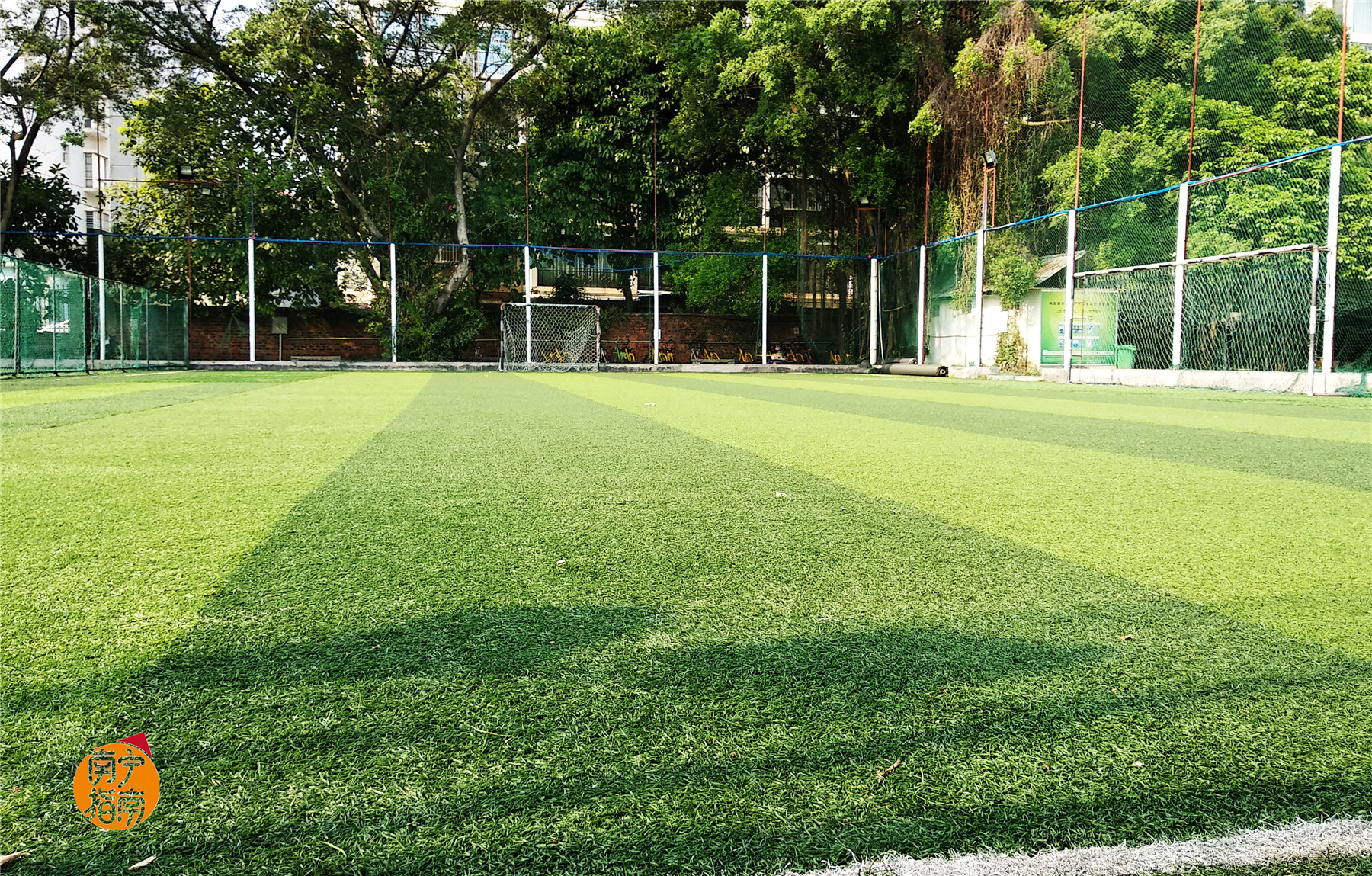 金花茶公园景点,走进金花茶公园