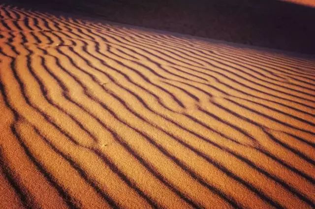 不同于你想象之中的卡萨布兰卡
