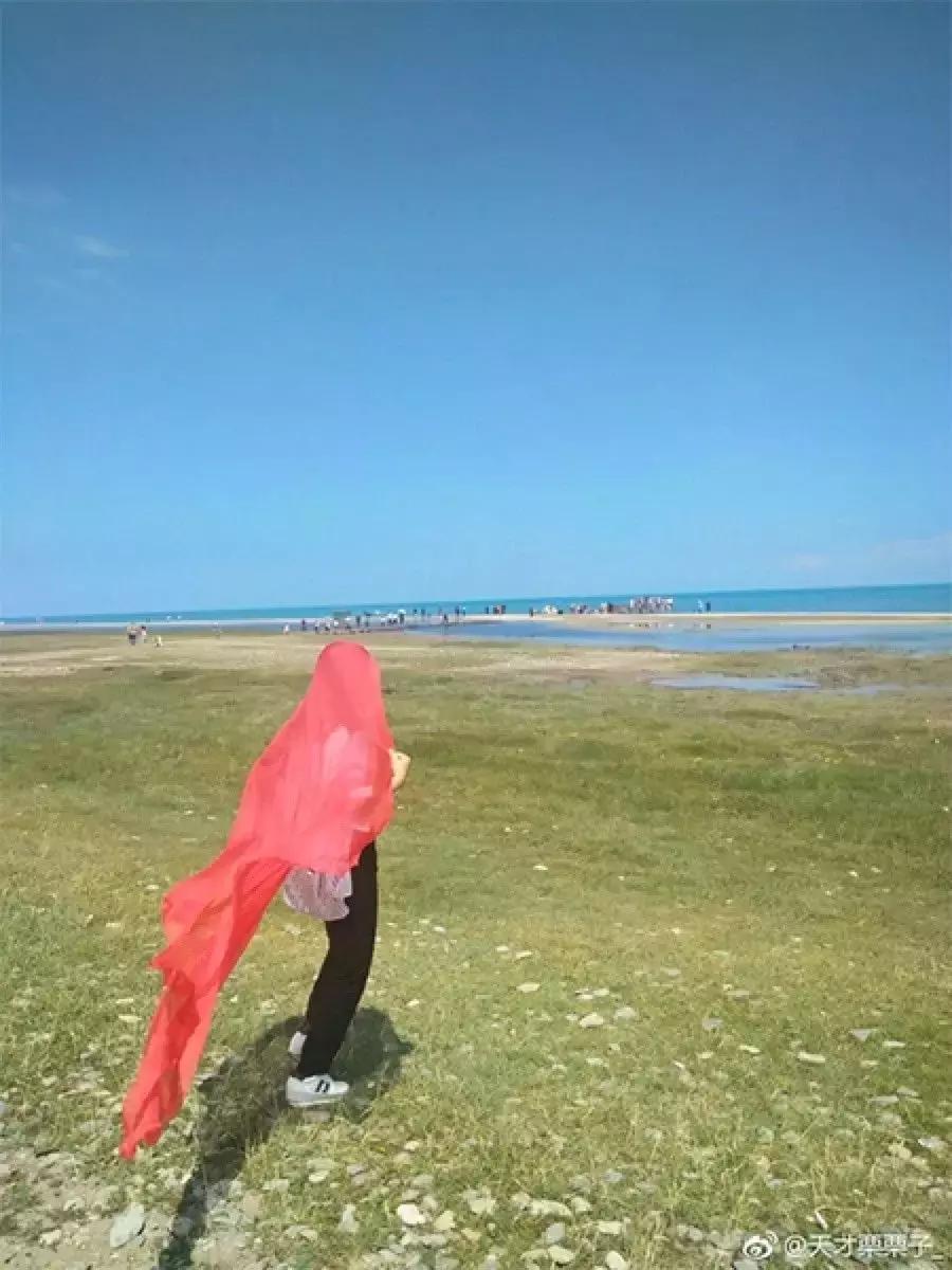 看完我妈拍的春游照片,我跟我爸都哭了……