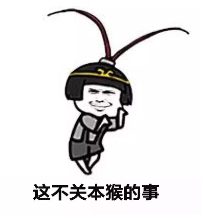 看完我妈拍的春游照片,我跟我爸都哭了……