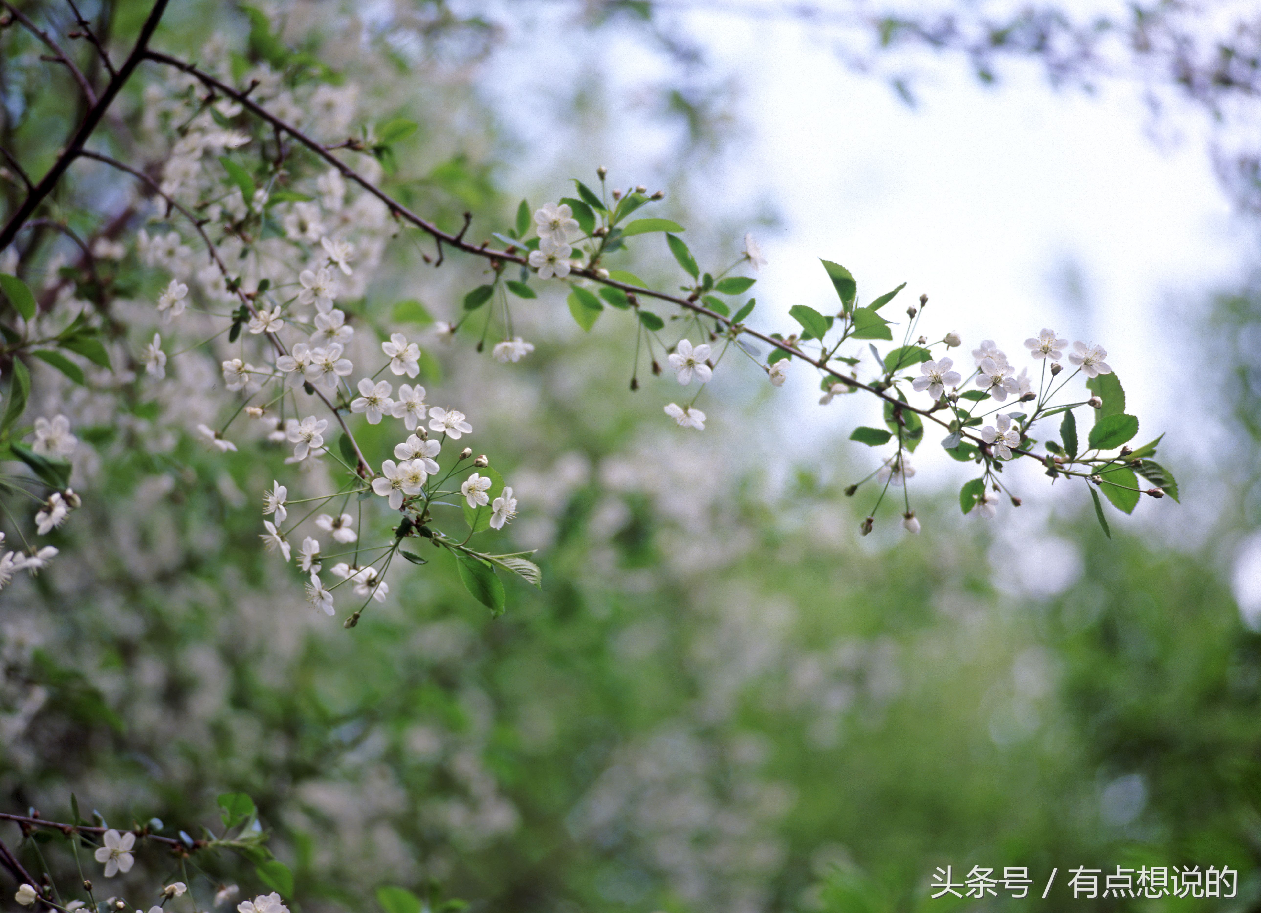 jm绿瓶防晒喷雾怎么样,jm防晒喷雾可以带上飞机