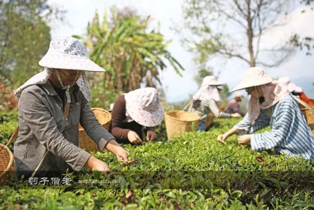 云南沧源靠近哪个国家,云南沧源最好玩的地方