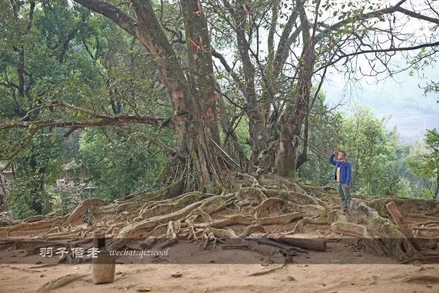 云南沧源靠近哪个国家,云南沧源最好玩的地方