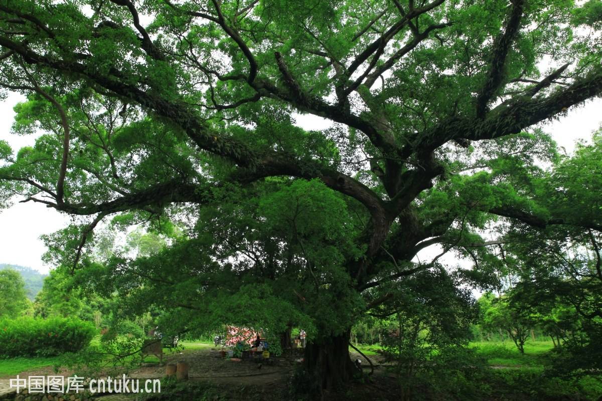 浙江台州温岭地图,美丽浙江台州温岭大溪