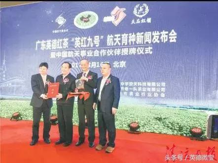 英德红茶重出国门踏上“一带一路”！农旅结合茶园变旅游景点！