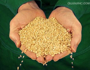 买到假种子找谁处理,买到假种子向哪部门投诉