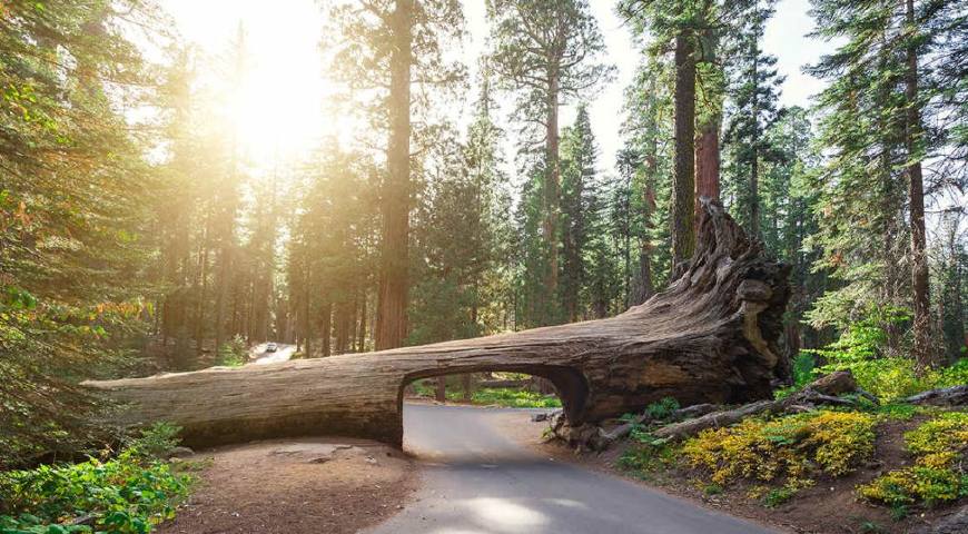 美国国家公园旅游攻略,美国国家免费公园