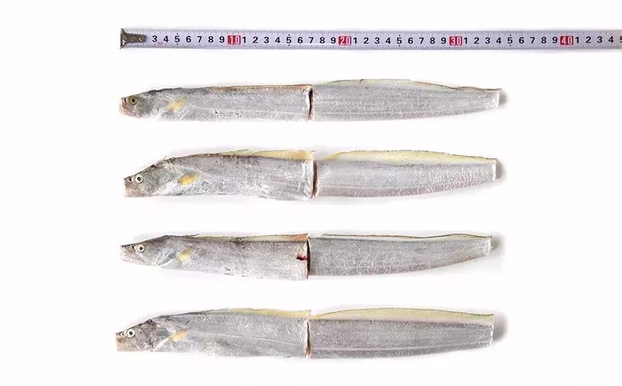 缃戜笂涔扮殑绮惧搧鐚倝,缃戜笂娣樺埌鐨勫ソ涓滆タ