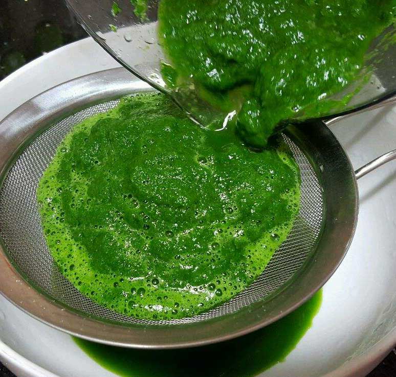 艾叶糯米团子的做法大全,糯米粉艾叶团子