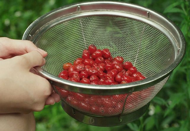 豆瓣8.2分烧脑片日本,豆瓣8.9的日漫电影