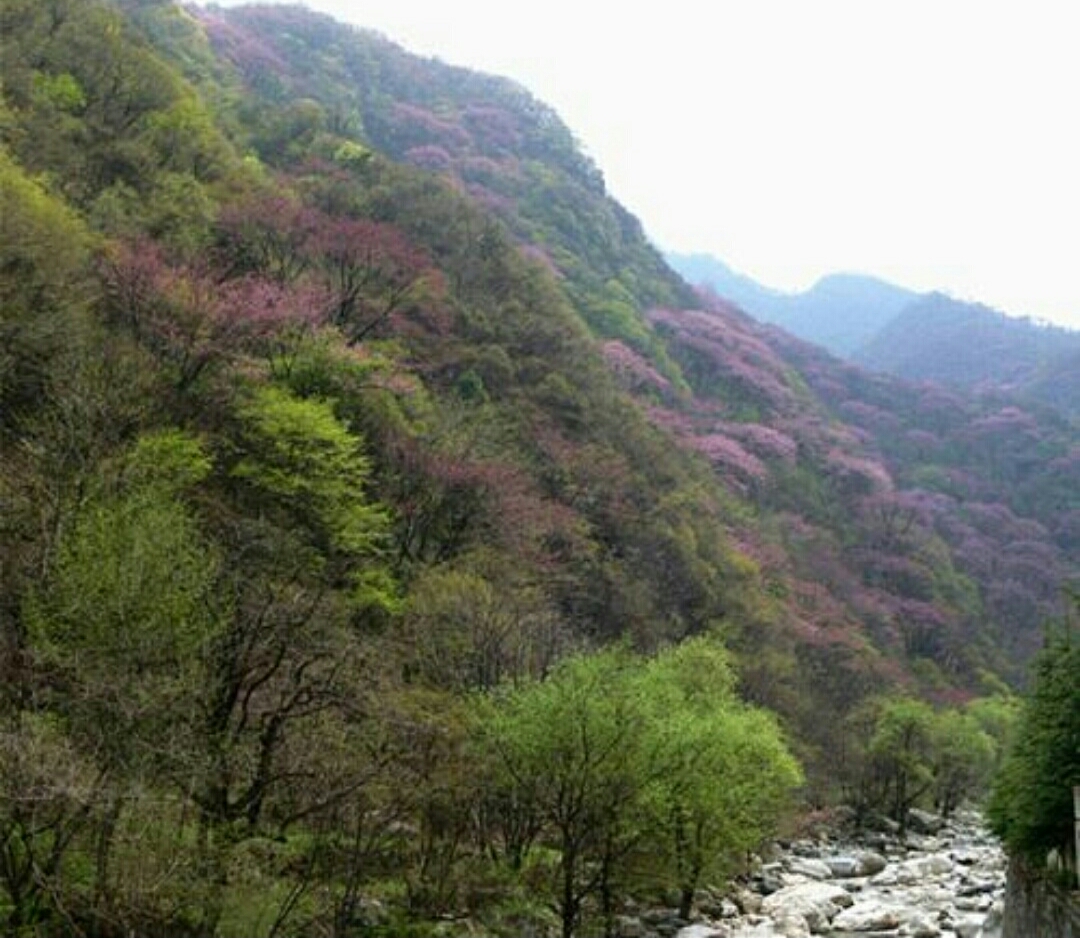 西安鄠邑到底怎么样,西安市鄠邑区有哪些好逛的地方